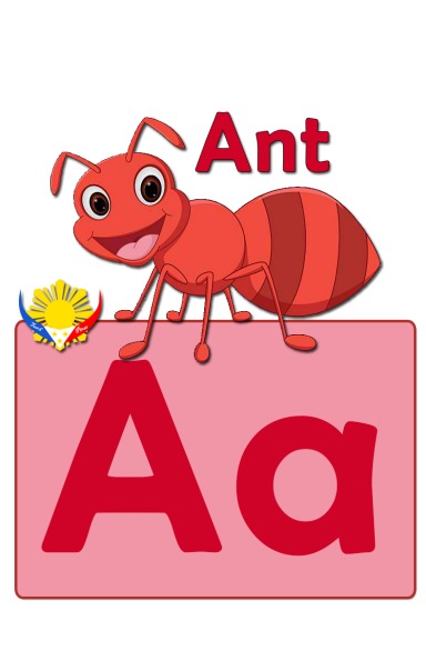 A-Z Alphabets Flash Cards FREE
